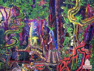 dmt effect image