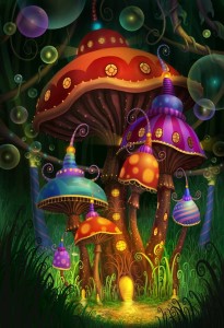 Magic Mushrooms Blog
