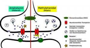 Die Speed Wirkung (Amphetamin, Pepp) auf Körper & Geist 12 amphetamin wirkung im vergleich zu ritalin