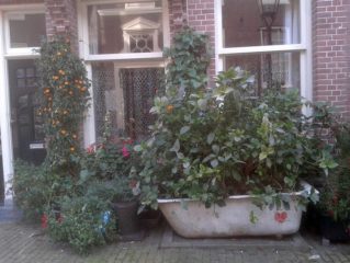 amsterdam altstadt wanne