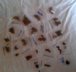 gras per post aus dem amsterdamer coffeeshop versenden