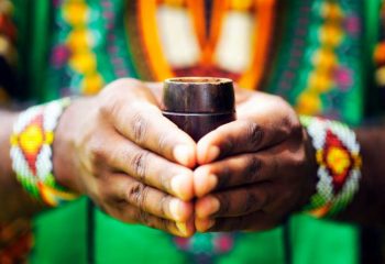 Ayahuasca Wirkung verstärken: Dr. Rätsch empfiehlt Alkohol als Geheim-Booster