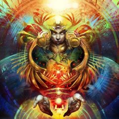 ayahuasca effect 2 240x240 1 Sí, todavía funciona: puedes comprar ayahuasca y pedirla en línea desde aquí. Gracias a Internet, la venta de Ayahuasca fuera de Holanda es muy fácil.