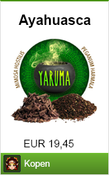 ayahuasca kopen