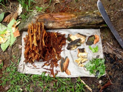 Ayahuasca kaufen & online bestellen: Preisvergleich, Rezepte, Tipps 22 Ayahuasca Zutaten
