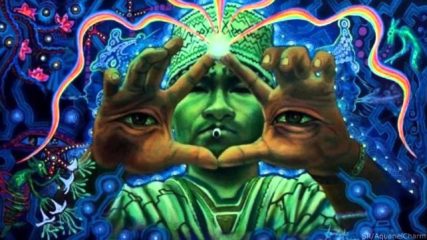 Ayahuasca wirkung 2