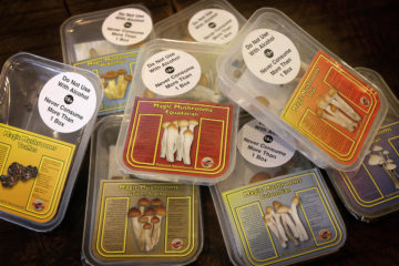 Frische magic mushrooms zum kaufen in der verpackung
