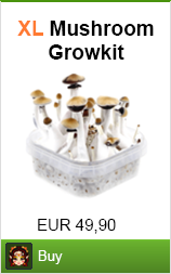 buy magic mushroom growkit
