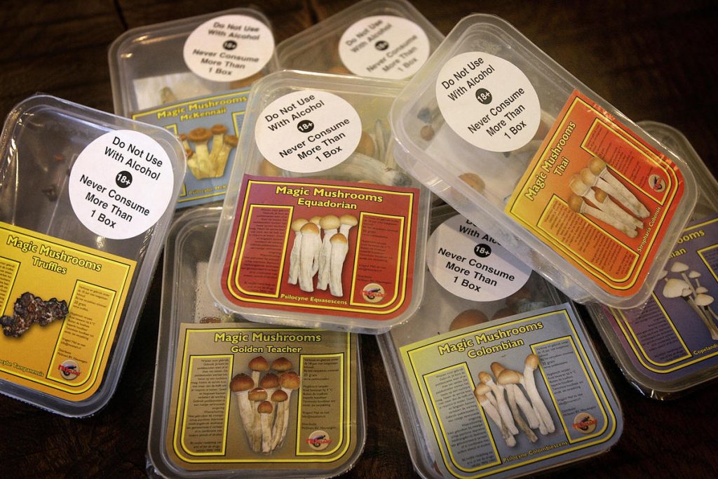 buy magic mushrooms fresh