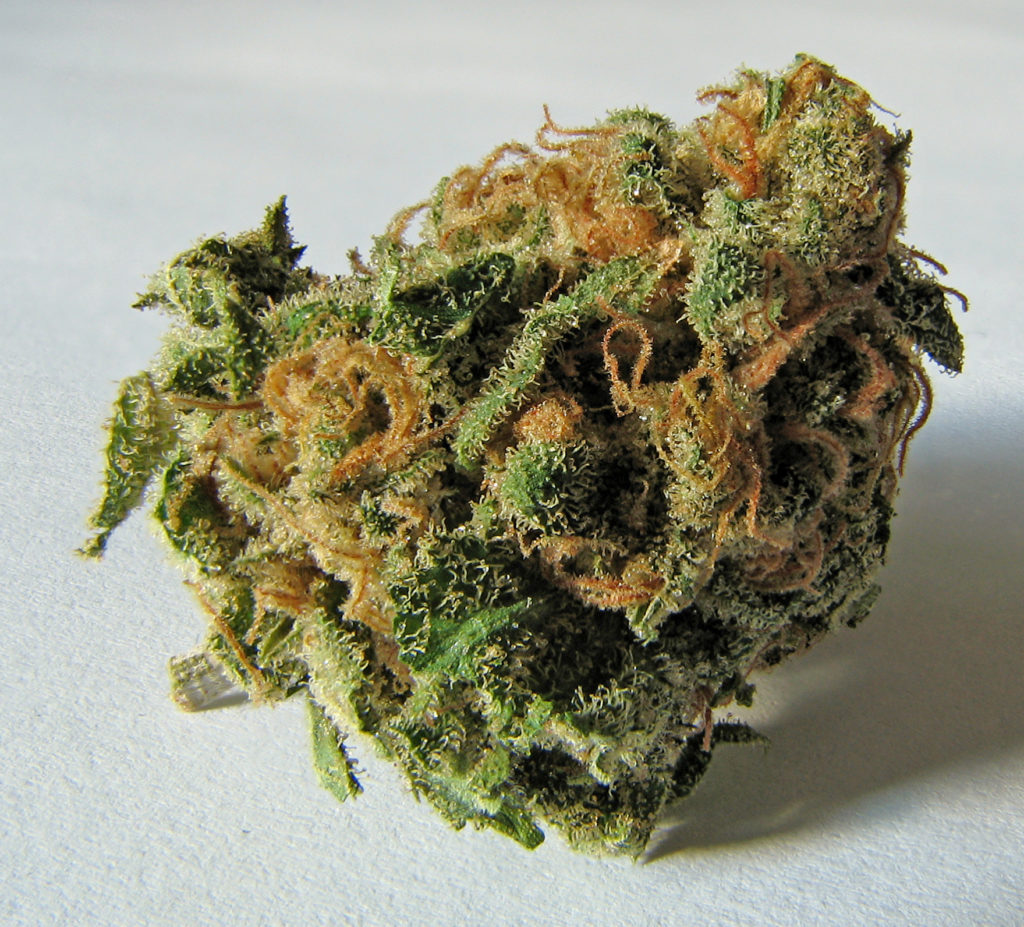 ? Gras kaufen und Cannabis online bestellen (Weed, Marihuana, Hanf) – Seriös & Sicher 56 cannabis blüte (gras, marihuana)