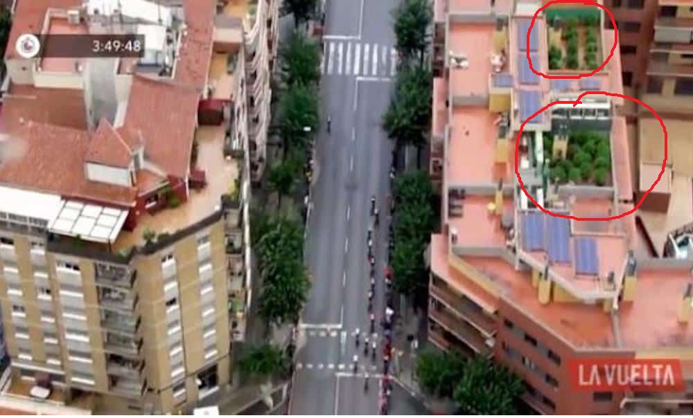 Radrennen in Spanien: Helikopter filmt zufällig Cannabis-Plantage 1 cannabis hanf radrennen spanien grow