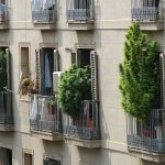 Die Marihuana Wirkung auf Körper & Geist (Cannabis, Haschisch, Gras) 7 große cannabis pflanzen auf dem balkon
