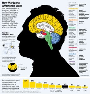 marihuana wirkung infografik auf englisch