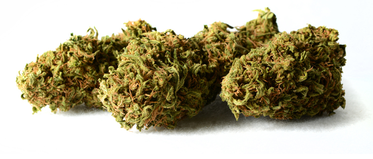 ? Gras kaufen und Cannabis online bestellen (Weed, Marihuana, Hanf) – Seriös & Sicher 32 cbd blüten zum bestellen liegend