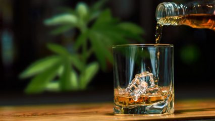 Alkohol und CBD-Gras Mischkonsum – Erfahrungsbericht