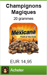 Acheter des champignons magiques comme bannière publicitaire