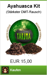 Banner Ayahuasca kaufen für DMT im Shayana Drogen Shop