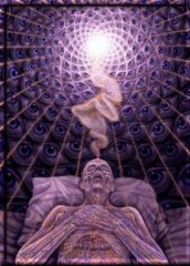 dmt wirkung