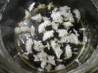 dmt kristalle 320x240 1 Das Herstellen und Extrahieren von DMT (N,N-Dimethyltryptamin) als rauchbare Base gestaltet sich mit der folgenden Anleitung recht leicht. Alle benötigten Materialien dafür können bis auf das Pflanzenmaterial beispielsweise bei Amazon eingekauft werden. Als pflanzliches Ausgangsmaterial für die Extraktion wird Mimosa hostilis verwendet, da diese einen sehr hohen DMT-Gehalt aufweist.