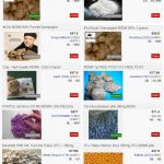 screenshot mdma extasy im darknet kaufen