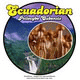 Vorschaubild ecuador cubensis kaufen