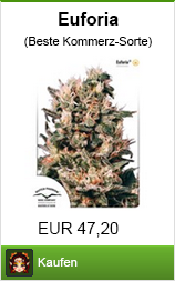 Banner hanfsamen kaufen der Sorte euforia im Shayana Drogen Online Shop