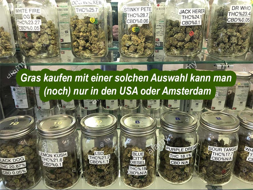 ? Gras kaufen und Cannabis online bestellen (Weed, Marihuana, Hanf) – Seriös & Sicher 67 Verschiedene Sorte Gras zum Kaufen in einem amerikanischen Weedshop mit Angabe der THC und CBD Gehalte