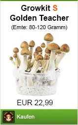 Psilocybin und Psilocin - die Wirkstoffe in Zauberpilzen 18 Banner Mushroom Growkit bestellen als Pilz Growbox s im Shayana Drogen Online Shop