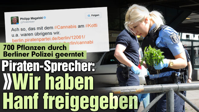 700 Hanfpflanzen von Piraten-Partei in Berliner City angepflanzt 1 hanf pflanzen berlin hanfsamen