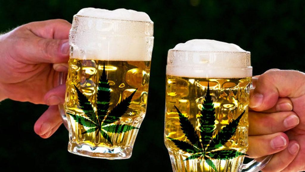 hanfbier hanfkiss