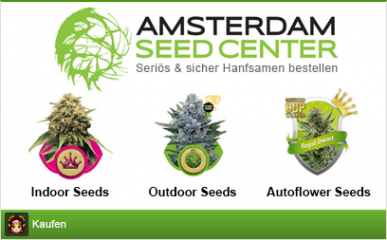 Amsterdam-Seed-Center Erfahrungen & Gutscheine – Hanfsamen zuverlässig bestellen