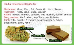 unterschiede marihuana cannabis haschisch