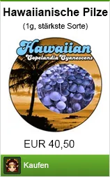 Banner hawaiianische pilze kaufen im Shayana Drogen Online Shop