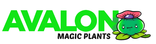 Avalonmagicplants.com Erfahrung: Ist dieser Onlineshop seriös?