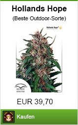 Banner hanfsamen kaufen der Sorte hollands hope im Shayana Drogen Online Shop