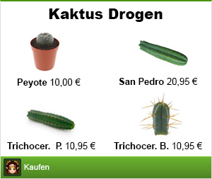 Banner Kaktus Drogen kaufen im Shayana Drogen Online Shop