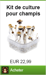 kit de culture champignons magniques achat