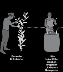 kokain handel infografik