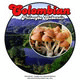Vorschaubild colombian zauberpilze kaufen