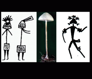 kulturgeschichte-halluzinogener-pilze kulturgeschichte-halluzinogener-pilze