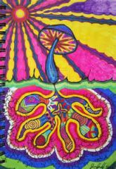 Magic Mushrooms Social Clubs