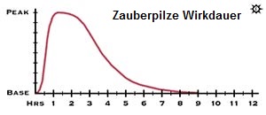 Magic Mushrooms Wirkung, Dosierung & vieles mehr 4 magic mushrooms wirkdauer verlauf