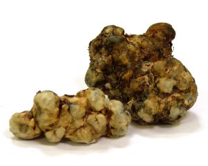 magic truffles
