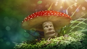 Magic Mushrooms Wirkstoff Psilocybin kann laut neuer Studie soziale Integration erleichtern & Depressionen lindern