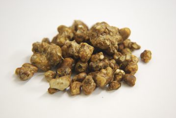 High Hawaiians bestellen (Psilocybe tampelandia) – Wirkung, Erfahrungen, Dosierung