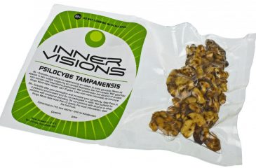 Psilocybe Tampanensis, Atlantis, Galindoi, Truffles, Sclerotia, Pajateros