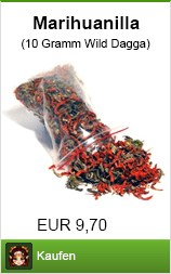 Banner marihuanilla kaufen alias wild dagga im Shayana Drogen Online Shop