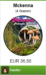 Banner Drogenpilze kaufen der Sorte psilocybe cubensis im Shayana Drogen Online Shop