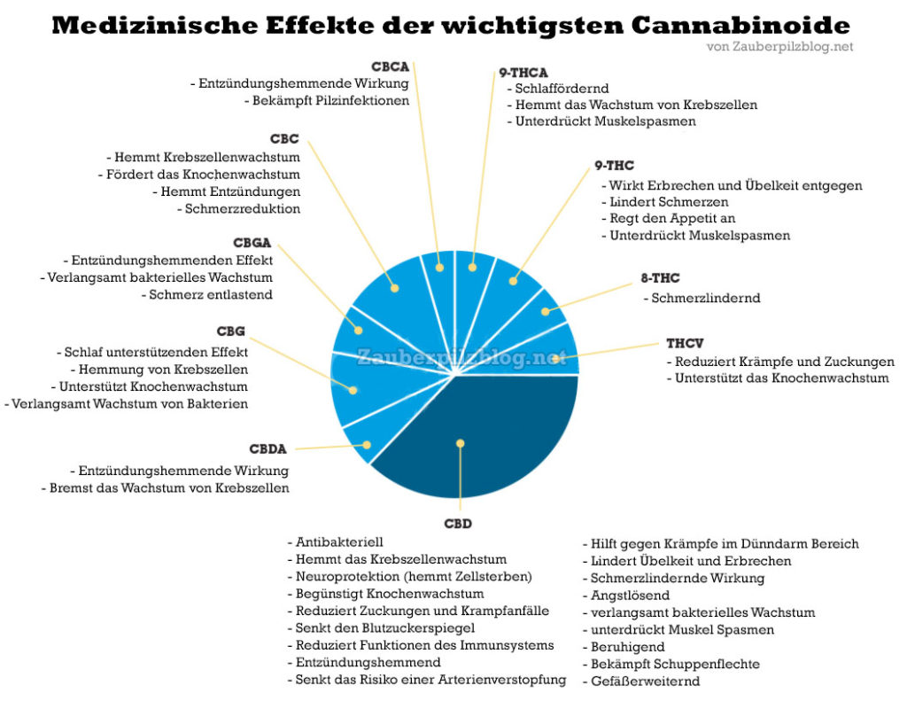 ? Gras kaufen und Cannabis online bestellen (Weed, Marihuana, Hanf) – Seriös & Sicher 33 medizinische wirkung von cannabinoiden