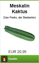 Banner meskalin kaktus kaufen
